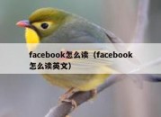 facebook怎么读（facebook怎么读英文）