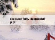 deepseek官网，deepseek官网下！