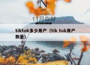 tiktok多少用户（tik tok用户数量）