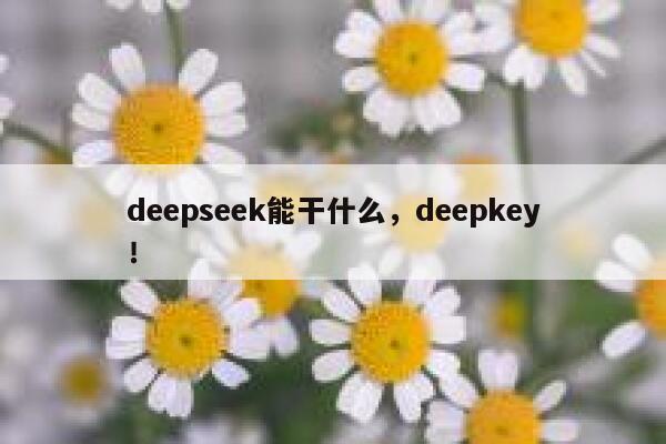 deepseek能干什么，deepkey！ 第1张