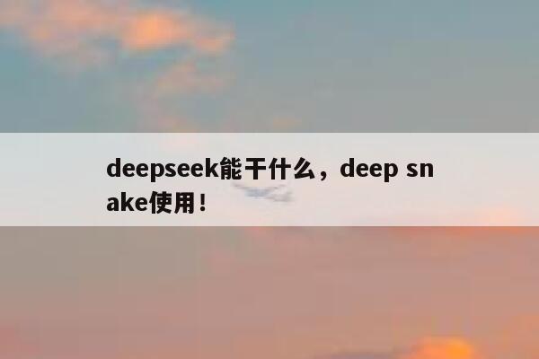 deepseek能干什么，deep snake使用！ 第1张