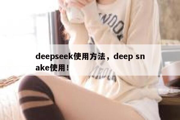 deepseek使用方法，deep snake使用！ 第1张