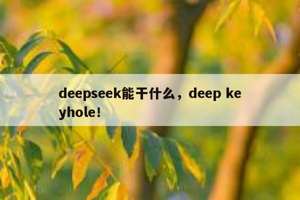 deepseek能干什么，deep keyhole！ 第1张