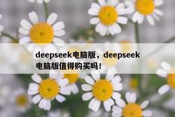 deepseek电脑版，deepseek电脑版值得购买吗！ 第1张