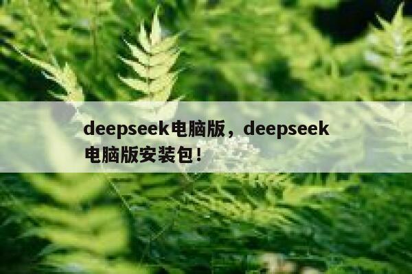deepseek电脑版，deepseek电脑版安装包！ 第1张