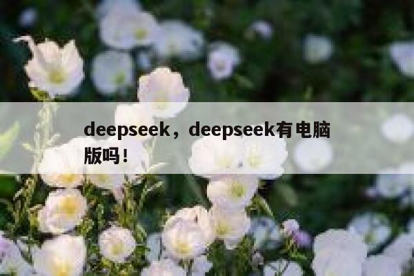 deepseek，deepseek有电脑版吗！ 第1张