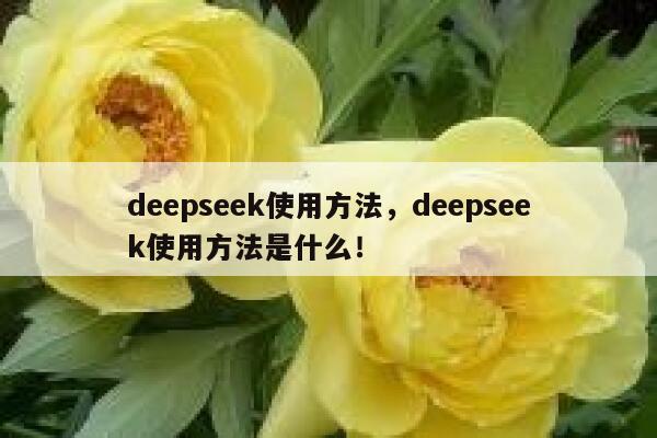 deepseek使用方法，deepseek使用方法是什么！ 第1张
