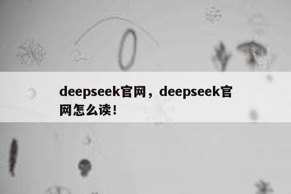 deepseek官网，deepseek官网怎么读！ 第1张