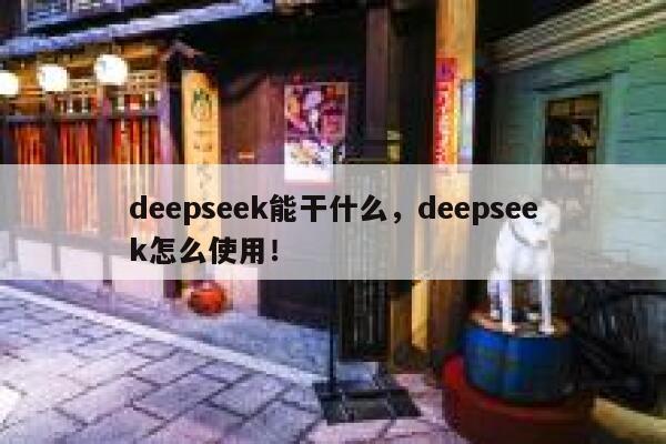 deepseek能干什么，deepseek怎么使用！ 第1张