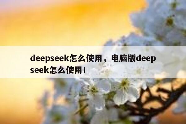 deepseek怎么使用，电脑版deepseek怎么使用！ 第1张