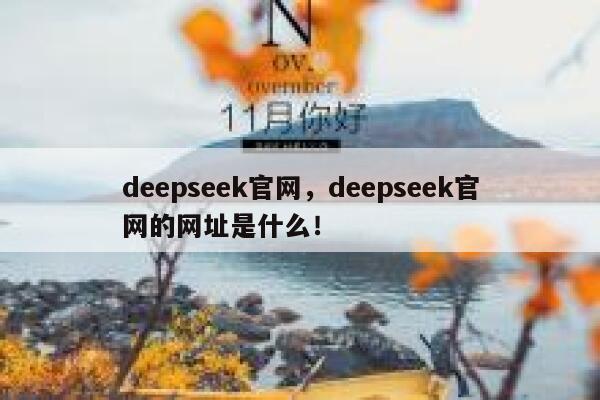 deepseek官网，deepseek官网的网址是什么！ 第1张