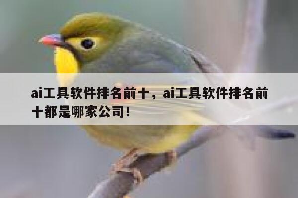 ai工具软件排名前十，ai工具软件排名前十都是哪家公司！ 第1张