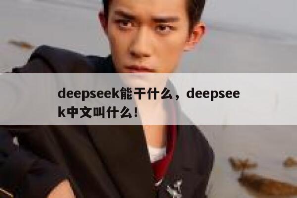 deepseek能干什么，deepseek中文叫什么！ 第1张