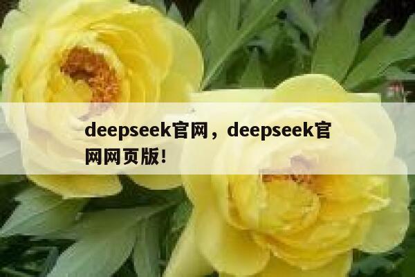 deepseek官网，deepseek官网网页版！ 第1张