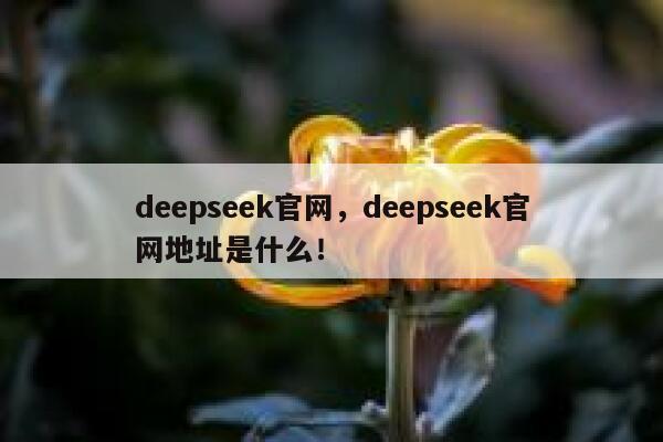 deepseek官网，deepseek官网地址是什么！ 第1张