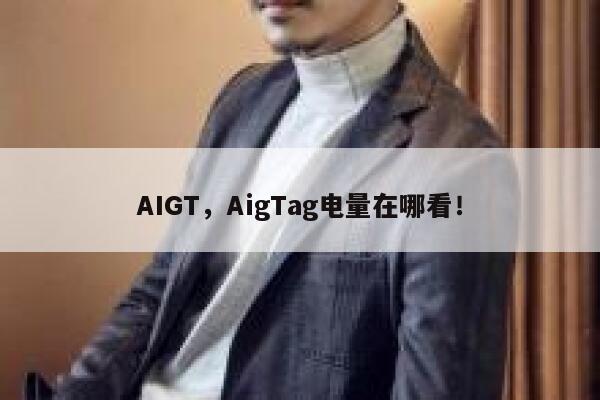 AIGT，AigTag电量在哪看！ 第1张