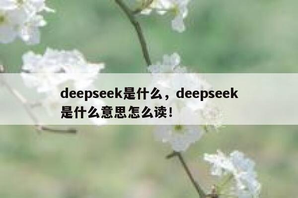 deepseek是什么，deepseek是什么意思怎么读！ 第1张