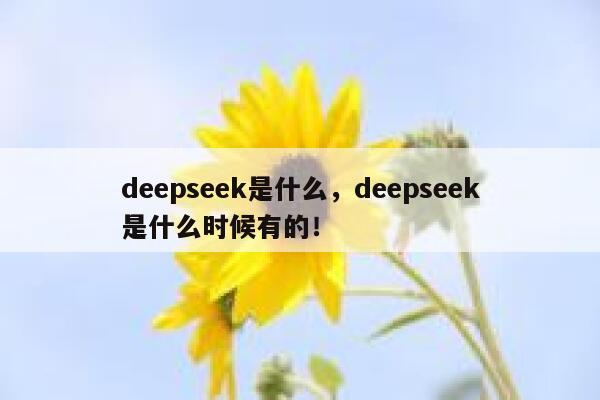 deepseek是什么，deepseek是什么时候有的！ 第1张