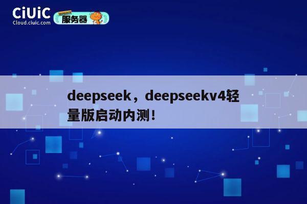 deepseek，deepseekv4轻量版启动内测！ 第1张